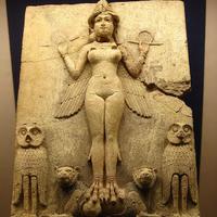 الاله عشتار (@xforpri) 's Twitter Profile