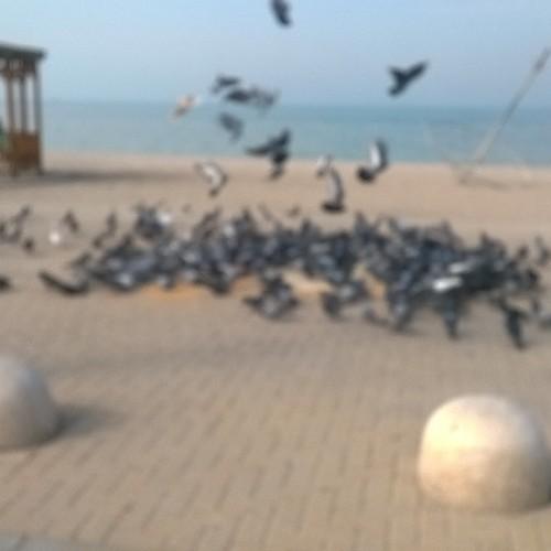 ‏صدقه جاريه