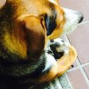 Bentley Patrick - @ClarenceDarrow9 - Twitter