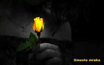 gogismogi's profile picture. 