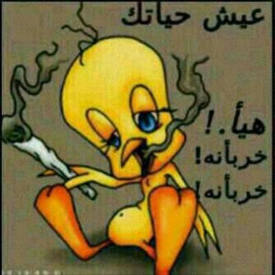 IbrahimKhade's profile picture. 