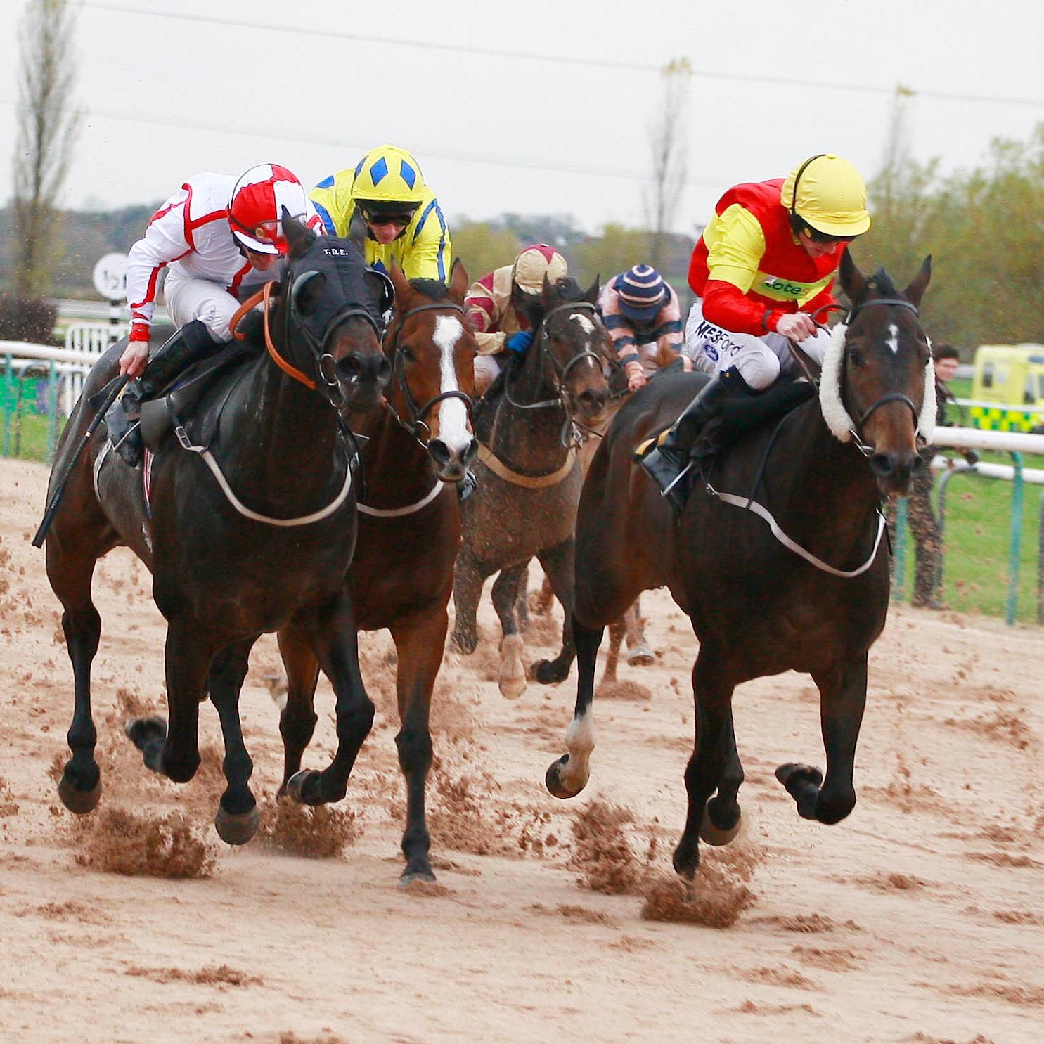 💰 I only bet on Horse-Racing Match-Bets - and I make loadsa dollars 💰