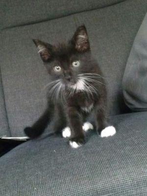 Elpe41's profile picture. 