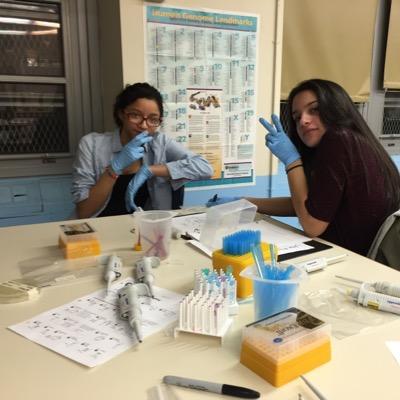 FMHSDNA's profile picture. Urban Barcoding