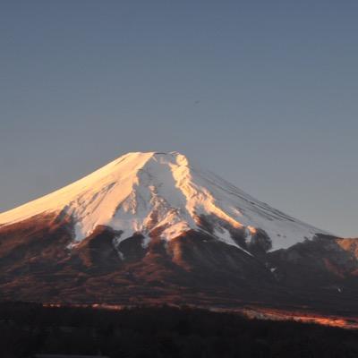 役立つ雑学、トレンド情報を発信しています。旅行、映画、アウトドアなどが趣味です。 公式ブログ→ https://t.co/SbsuBuLmL7