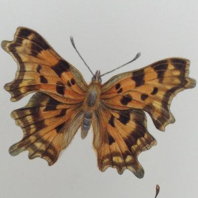 PaintedNatureさんのプロフィール画像