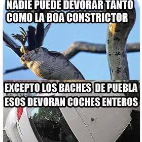 Diciendo la neta sin temor a nada,debemos alzar la voz y no dejarnos que nos pisote el gobierno represor de Puebla.