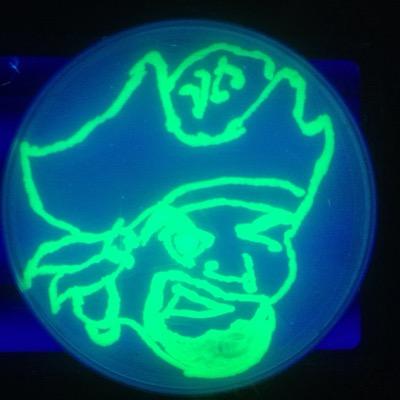 Microvoice is a course Twitter account for MICRV01 General Microbiology at Ventura College. Use should adhere to course content and communication.
