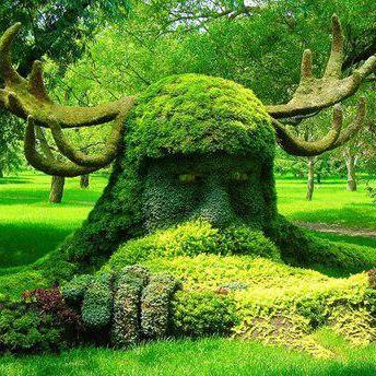 suamsita's profile picture. Venezuela