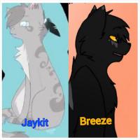 Jaykit & Breeze (@icecoldbreeze_) 's Twitter Profile