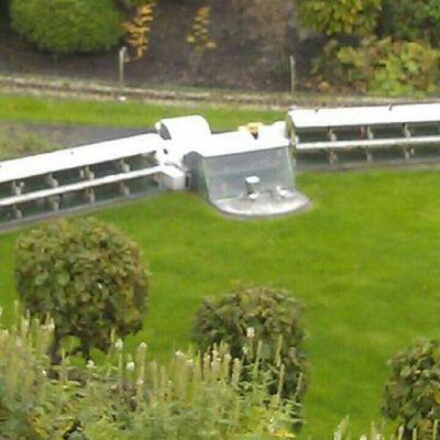 ReflogE's profile picture. 