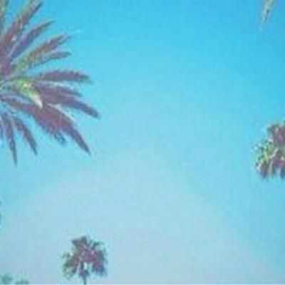 saddagr's profile picture. Overall Leader Of @ResortRising