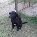 Samuel Bustos - @SamuelBustos89 - Twitter