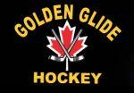 We are a year round #Hockey School operating out of #Chesswood Arena, #Toronto Ontario. 
Shooting, skating, hitting, fitness, team & individual training.
