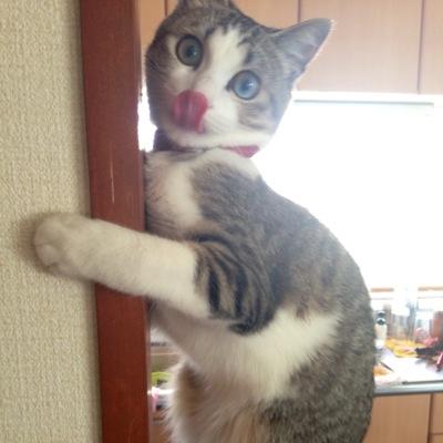 身体に良いコーヒーを飲んで、幸せになりましょう。オルガノゴールドがそれを叶えてくれます。まずは、サンプルをプレセントしますので飲んでみてください。ぜひ、お問い合せを！
