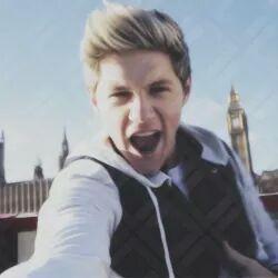 1D my life forever