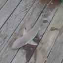 Todd Currie - @currie_todd - Twitter