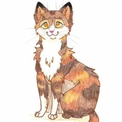 Sunstar: Leader of Dawnclan Orange brown and white patched tom cat, brother: @Moonpelt1 mate: @DawnFire_ lives:8 Moons: 21