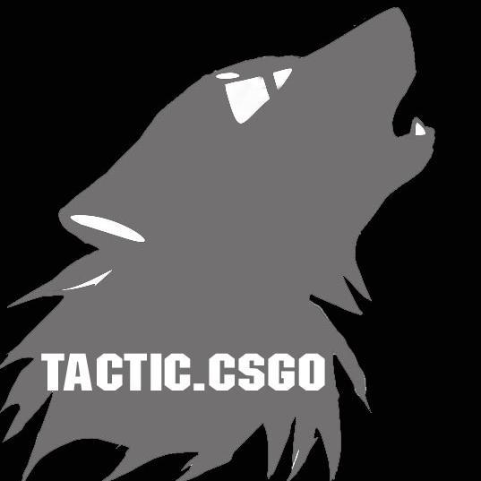 TacticCSGO's profile picture. 