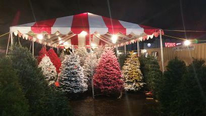 FrostysTrees's profile picture. 