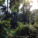 Cody Nielsen - @CODE_E69 - Twitter