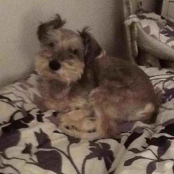 auntbelle161's profile picture. 