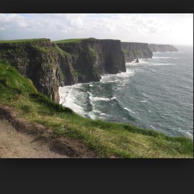 TheNewMPVanBee's profile picture. 