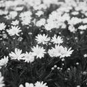 Tanya Weeks - @weeks_tanya - Twitter