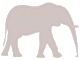 なめこ