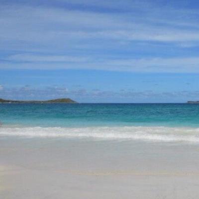 JamiOO2's profile picture. 