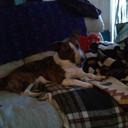 Robert Lemaster - @robber64 - Twitter