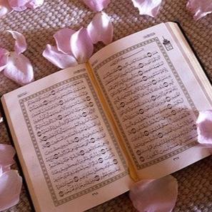 ❌الخاص ممنوع❌​اللهم قرّبني إليك حتّى يدفئ قلبي بذكرک ،  حتى أبلغ من الراحہ ما أتمنى ♡ . .