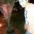 Sergio_Dario_'s profile image
