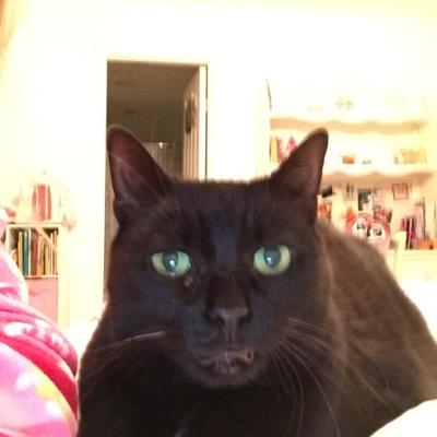 MeLovesBaseball's profile picture. 