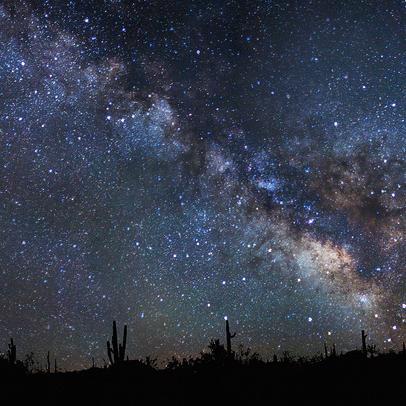 CBrush2RHIA's profile picture. 