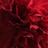 NoFGM_Kenya's profile image