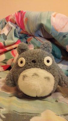 snoozin365's profile picture. Food. FEED ME