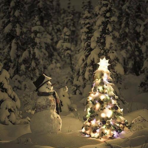 Stabilization9's profile picture. 