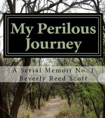 SerialMemoir's profile picture. I should have been dead by 30 but I lived to tell the tale. 1st installment of my Serial Mentor. My Perilous Journey The Harrowing Tales and Misadventures Oye