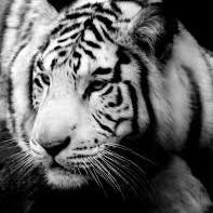 dyakiv_iua's profile picture. 