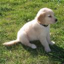 Gregory Woodruff - @luckywoodystl - Twitter