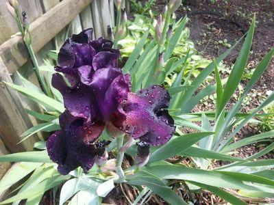 FHSawsan's profile picture. ‏‏اعمل بمجال تكنولوجيا المعلومات مع خليط من اهتمامات متعددة هنا وهناك، أؤمن أن ‏‏(الحياد في حضرة الوطن والدين خيانة)