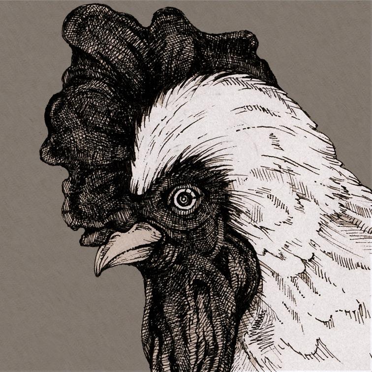 イラスト描いてます。 キリンジ・cero・Sigur Ros好き。 http://t.co/JbFm3hdXEL