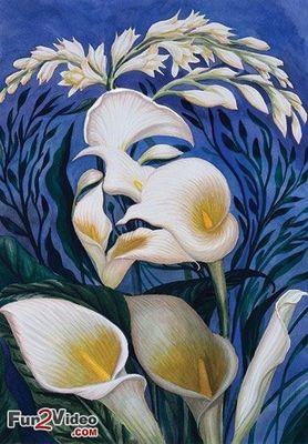 cbbb0eacd8db414's profile picture. 