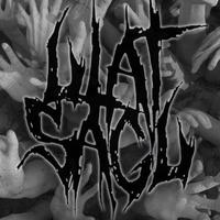 Ulat Sagu (@ulatsagu_dc) 's Twitter Profile Photo