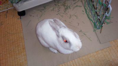 1999115taka's profile picture. #パンチラ  #おっぱい