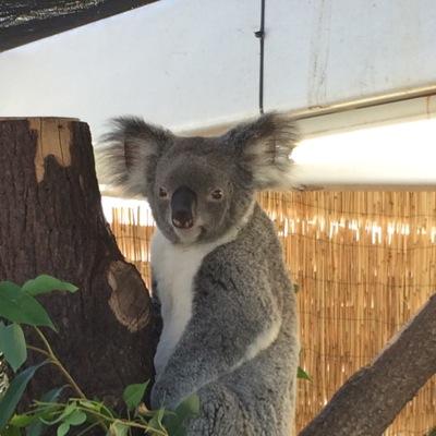 shimeyama's profile picture. いきものがかり(１年２組)・F1・イタリア料理・旅行・キャンプ好き。どうでしょう藩士。最近焼酎が飲めるようになってきた！沖縄の離島に行きたい！！とかいいつつとりあえず安定の北海道には行ってくる