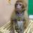 monobirkiki's profile image