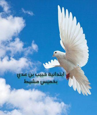 ‏‏الحساب الرسمي لابتدائية خبيب بن عدي التابعة لمكتب التعليم بخميس مشيط( بنين )بالإدارة العامة للتعليم بعسير رقم العضوية 0️⃣8️⃣3️⃣6️⃣2️⃣
جوال  0503991021