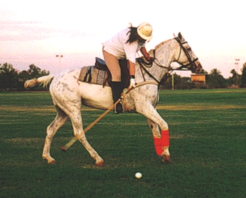 Historical Warrior Ramblings of a Horse Woman creating change & anticipating the future. Make a difference!